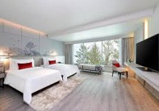 One Bedroom Family Suite